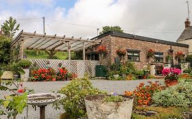 Ffynnonlwyd Cottage