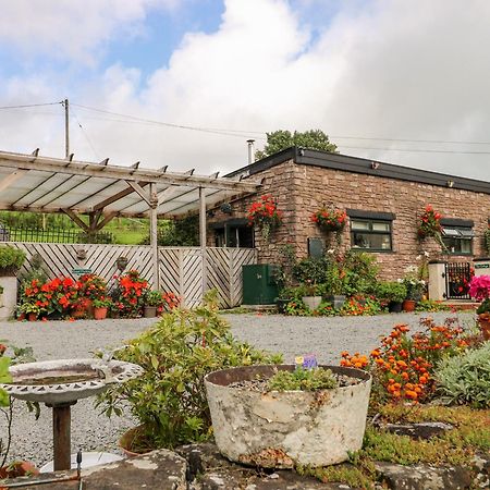 Ffynnonlwyd Cottage Llangynin Exterior photo
